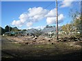 The remains of Halebourne Nurseries in GU24 8DL