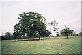 Field and trees, Hungerford in RG10 0PD
