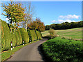 Country Road near Snelsmore Common in RG20 8AL