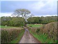 Approaching Ipplepen - South Devon in TQ12 5UJ