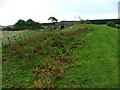 Bridge Over the Former Bishop Auckland to Barnard Castle Railway in DL13 5HQ