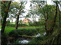 Pond, Spring Lane, Clayton in BN6 8LJ