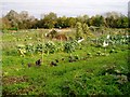Allotments in Hauxton in CB22 5HW