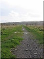Disused Workings Path in DH8 8AT