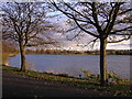 Hogganfield Loch in G33 6NJ
