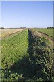 Drainage ditch in PE12 9NE