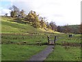 Dales Way crossing Isingdale Beck in BD23 5HH