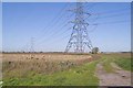 Power line off Hither Old Gate, Holbeach, looking NNW in PE12 7JG