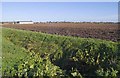 Roadside drainage ditch, Holbeach church on skyline in PE12 7QA