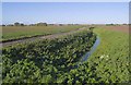 Drainage ditch off Thorpe's Lane, looking north towards Whaplode in PE12 6UX