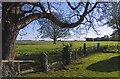 Gate to paddock, looking SE in The Moultons