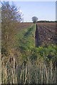 Field ditch off Common Road, Moulton Common in PE12 6LF