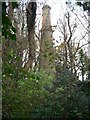 Mine Chimney at Wheal Eliza Consols in PL25 3BZ