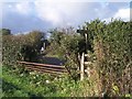 Footpath crossing the B4204 in WR2 6PB