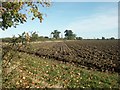 Ploughed field, near Wramplingham in NR18 0SB
