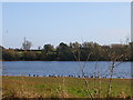 Daventry Reservoir in NN11 0XH