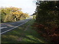 Crockford Bridge on B3054, New Forest National Park, Hants in SO41 5RT
