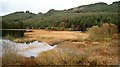 Wetland, Loch Leathan, Glassary, Argyll in PA31 8RL