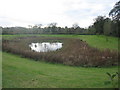 Catchment pond in BA13 3GP