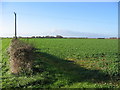 Farmland Near Skipsea in YO25 8AG