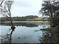 Loch of Clunie in PH10 6RG