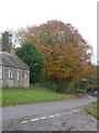 Cottage and tree, Castleton in EH23 4RZ