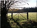 Gate near Whitehaugh Farm in EH45 9DB