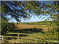 A rural view from Nathans Lane, Writtle, Essex in CM1 3RF