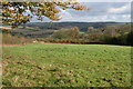 The Taw valley viewed from Trenchard Farm in EX18 7QY
