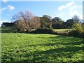 Pasture on the side of Langley Hill in GL54 5HD