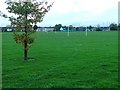 Harold Wilson Sports Ground, Thornaby in TS17 9PQ