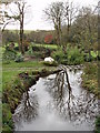 Stream at Alsia Mill in TR19 6HG