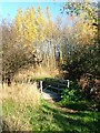 Footbridge, Blue Bell Beck, Whinney Banks in TS5 8LZ