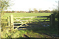 Field gate, with M55 beyond in PR4 0JB