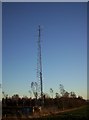 A Mobile Phone Mast in DD9 7PX