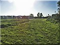 Looking south across farmland from Silver Street in EN7 5FG