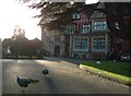 Pendley Manor Hotel, Tring - with Peacocks in HP23 5RB