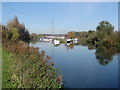 River Lee Navigation: Marina, Stanstead St. Margarets in SG12 8DE