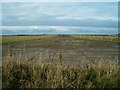 Disused runway at Whitchurch, Pembrokeshire in SA62 6US