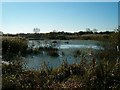 Flooded Peat Workings, Glastonbury Heath in BA16 9SQ