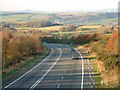 North Devon link road by South Hayne Plantation in EX36 4DX