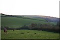 Paddock overlooking the valley of the River Mole in EX36 3JE