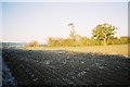 Frosty arable farmland near Hurley in SL6 5NE