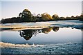 Frost and reflections, Hennerton Golf Club in RG10 8PB
