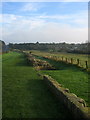 Hadrian's Wall, Heddon-on-the Wall in NE15 0DY