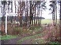 Kilmacolm, Public Footpath in PA13 4NY