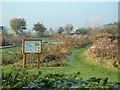 Ewelme Watercress Beds in OX10 6EW
