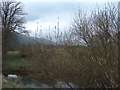 River Devon, Nr Tillicoultry in FK13 6JG