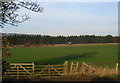 Field, A69 and Red House Plantation, Corbridge in NE45 5PD