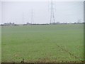 Pylons and Field, Near Cloff Bridge in TS22 5PH
